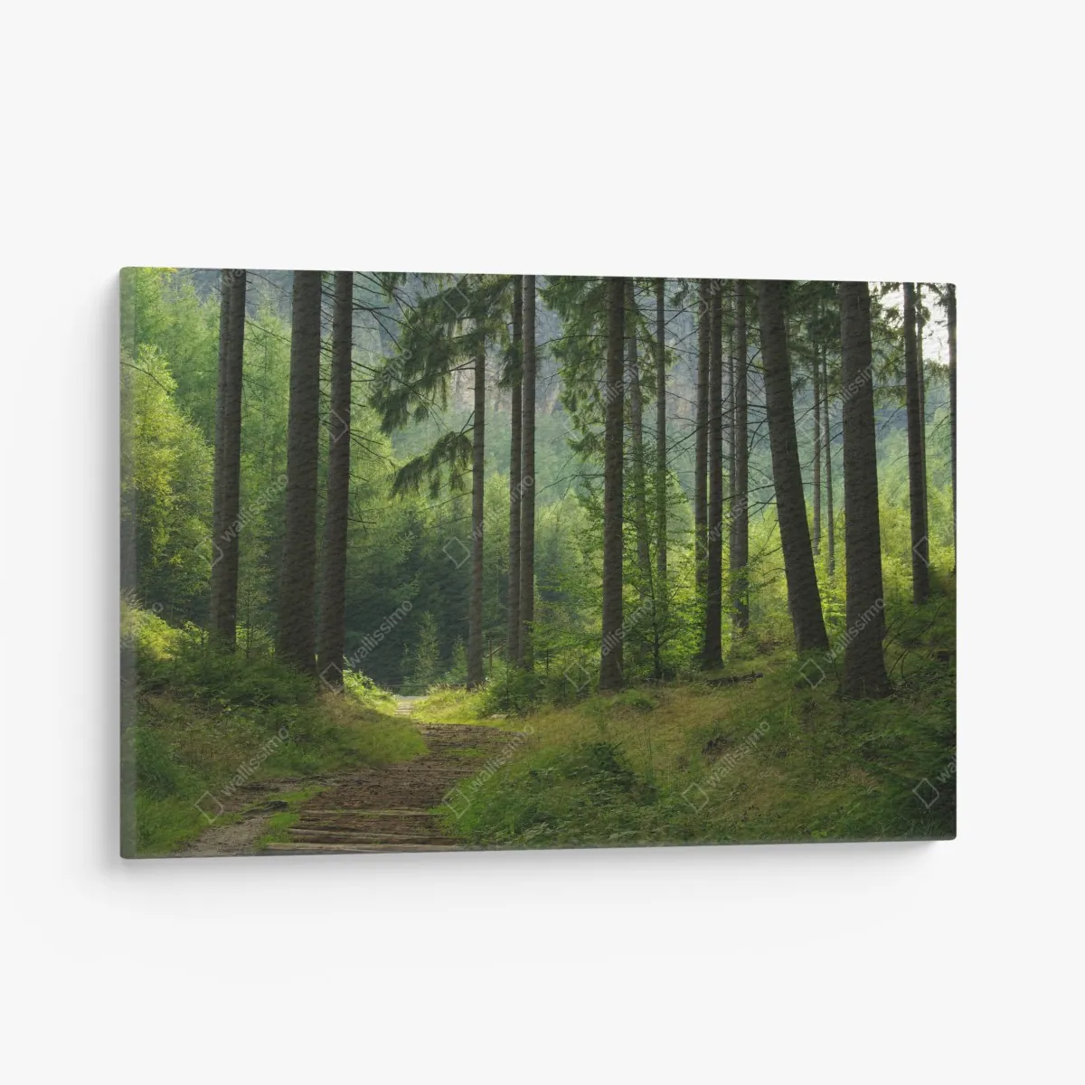 Obraz na płótnie spokojna leśna ścieżka – Wallissimo® Obraz na płótnie spokojna leśna ścieżka – Wallissimo®