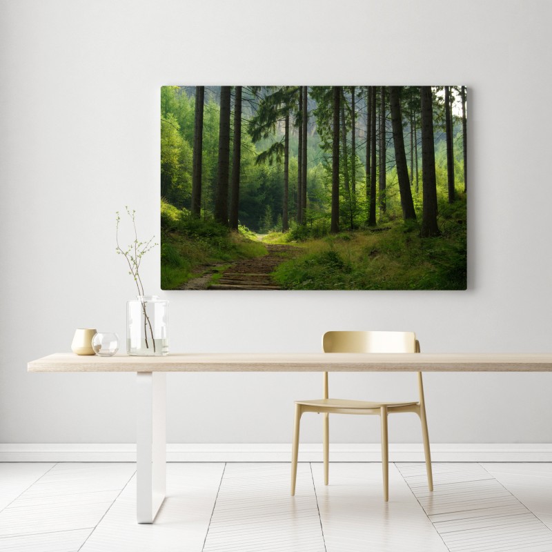 Obraz na płótnie spokojna leśna ścieżka – Wallissimo® Obraz na płótnie spokojna leśna ścieżka – Wallissimo®