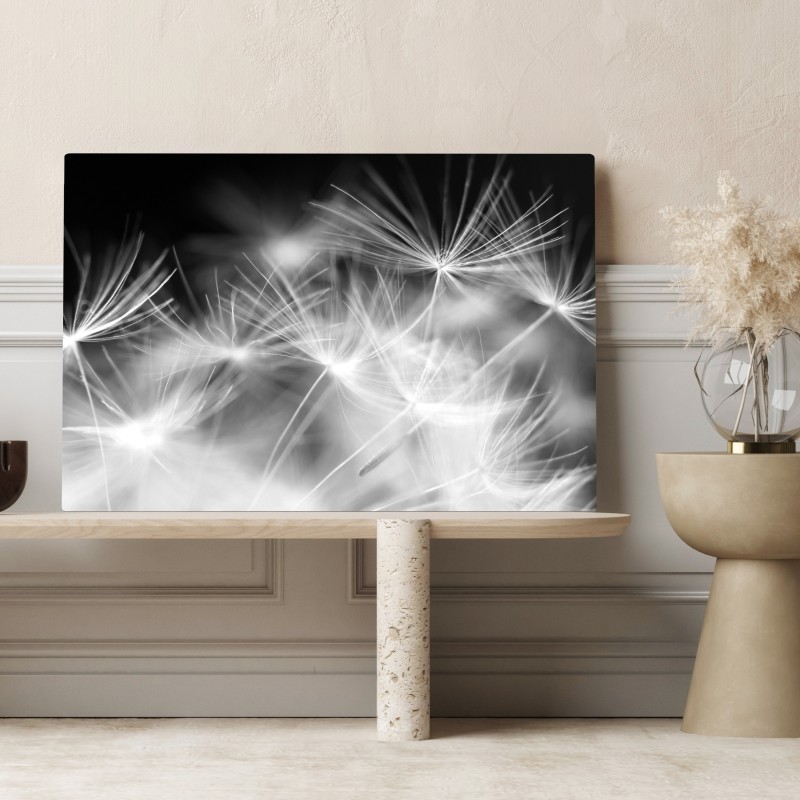 Obraz na płótnie delikatne nasiona dmuchawca czarno-białe – Wallissimo® Obraz na płótnie delikatne nasiona dmuchawca czarno-białe – Wallissimo®