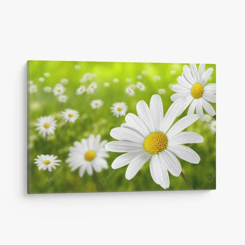 Obraz na płótnie majestatyczne odbicie Alp przy Bachalpsee – Wallissimo®