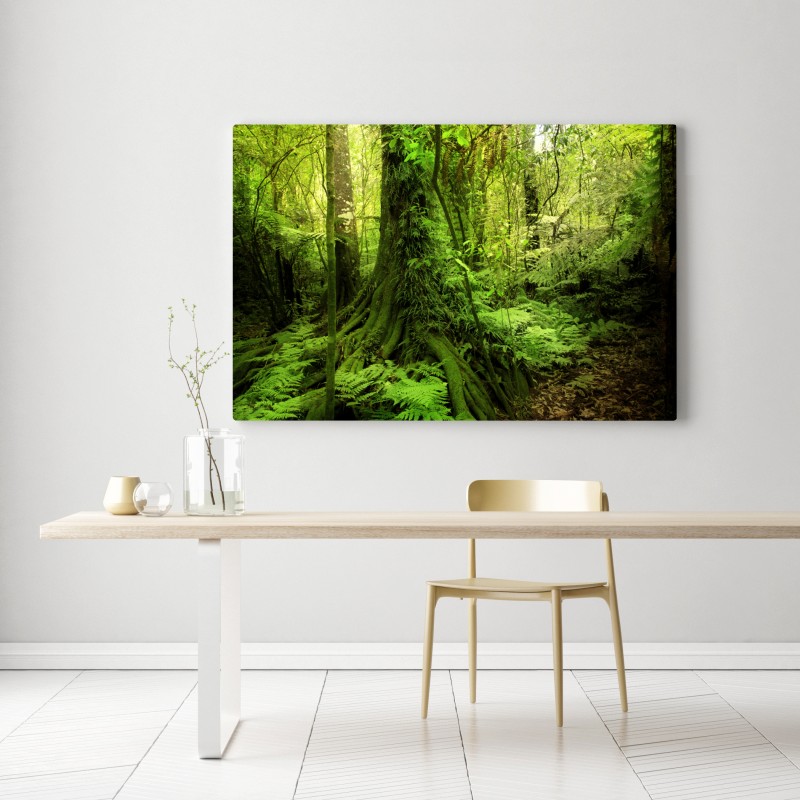 Obraz na płótnie bujna tropikalna dżungla – Wallissimo® Obraz na płótnie bujna tropikalna dżungla – Wallissimo®