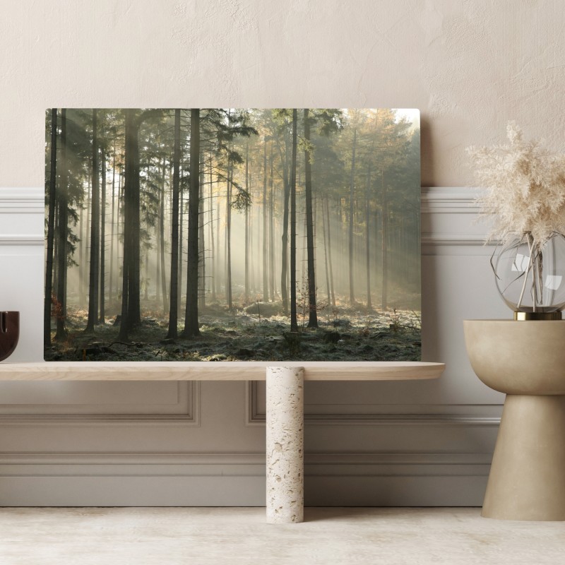 Obraz na płótnie mglisty poranek w lesie z promieniami słońca – Wallissimo® Obraz na płótnie mglisty poranek w lesie z promieniami słońca – Wallissimo®
