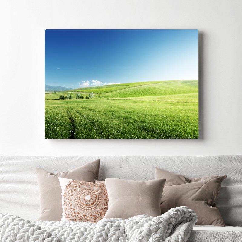 Obraz na płótnie spokojna zielona łąka – Wallissimo® Obraz na płótnie spokojna zielona łąka – Wallissimo®