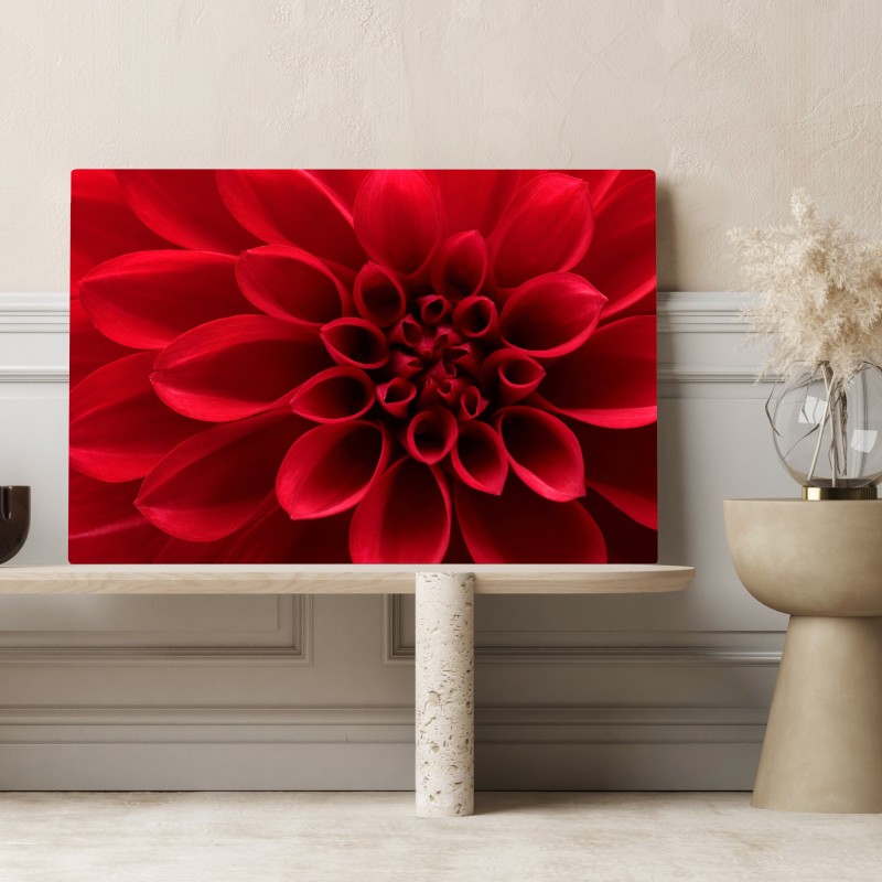 Obraz na płótnie zbliżenie czerwonej dalii – Wallissimo® Obraz na płótnie zbliżenie czerwonej dalii – Wallissimo®