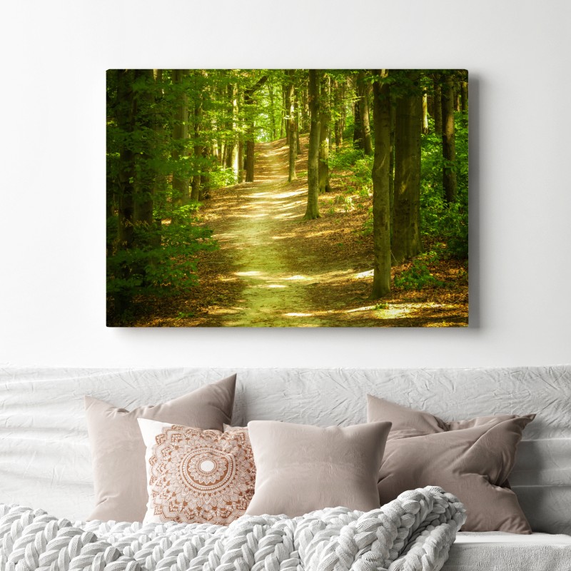 Obraz na płótnie słoneczna leśna ścieżka – Wallissimo® Obraz na płótnie słoneczna leśna ścieżka – Wallissimo®