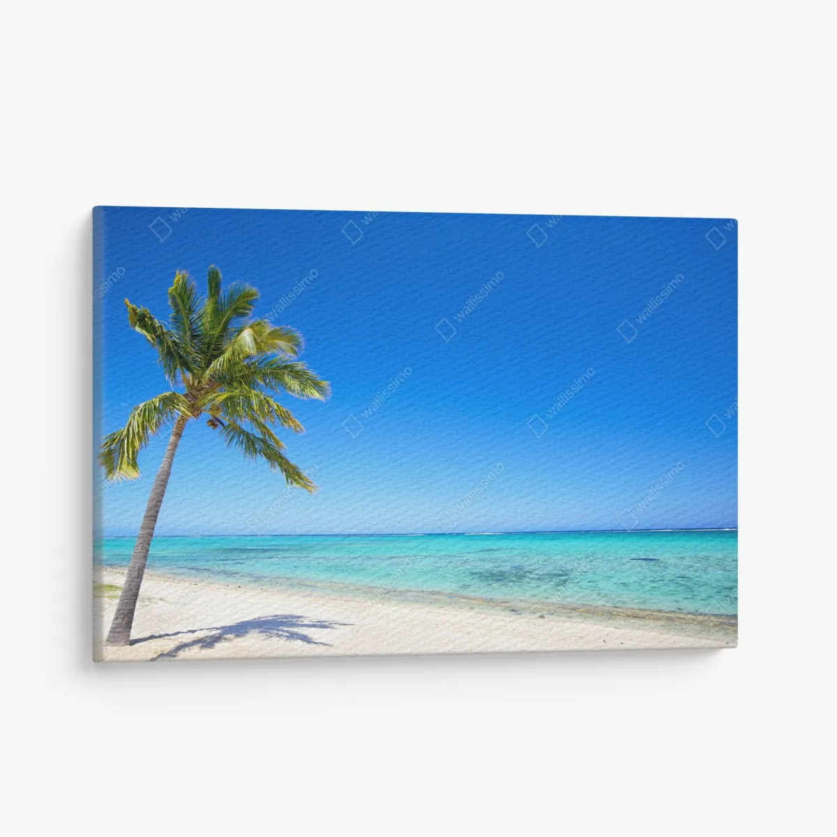 Obraz na płótnie tropikalna plaża z palmą – Wallissimo® Obraz na płótnie tropikalna plaża z palmą – Wallissimo®