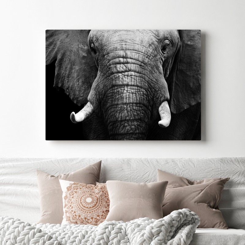 Obraz na płótnie majestatyczne zbliżenie słonia