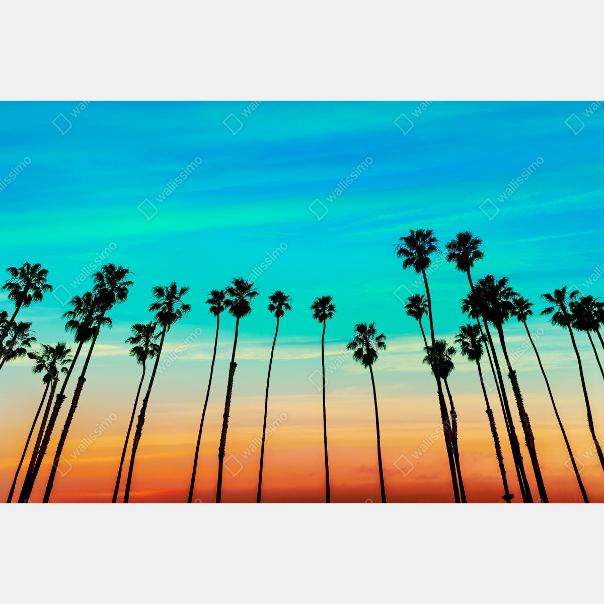 Obraz na płótnie palmy o zachodzie słońca w Kalifornii – Wallissimo® Obraz na płótnie palmy o zachodzie słońca w Kalifornii – Wallissimo®