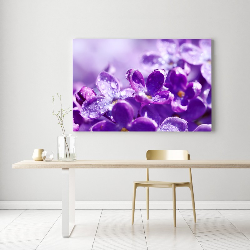 Obraz na płótnie fioletowy bez z kroplami rosy – Wallissimo® Obraz na płótnie fioletowy bez z kroplami rosy – Wallissimo®