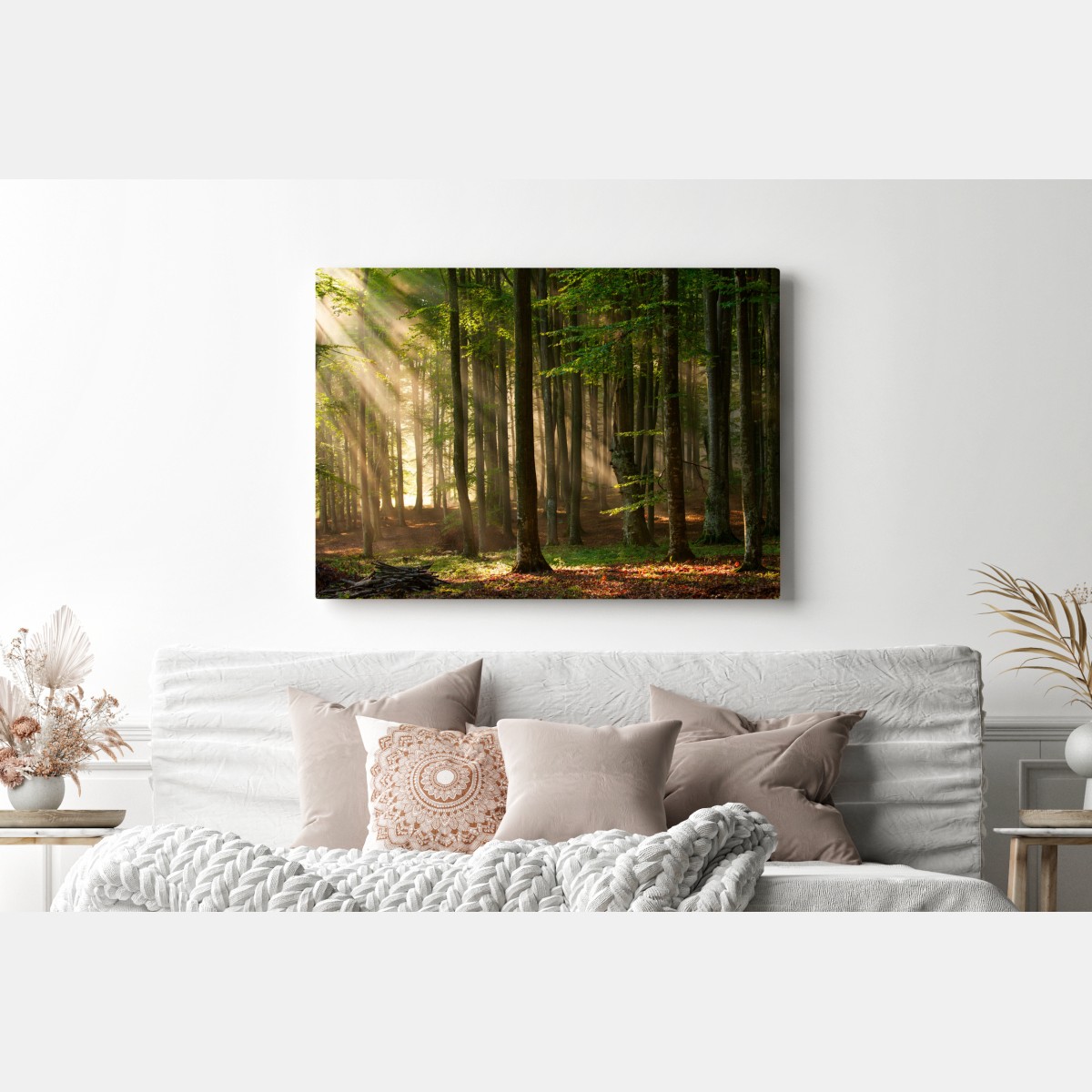 Obraz na płótnie poranne światło w lesie bukowym – Wallissimo® Obraz na płótnie poranne światło w lesie bukowym – Wallissimo®