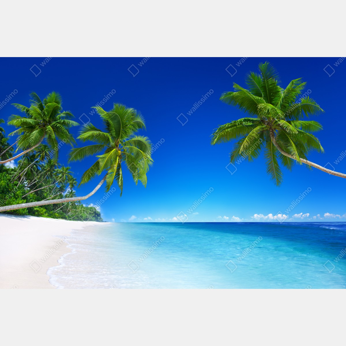 Obraz na płótnie tropikalna plaża z palmami – Wallissimo® Obraz na płótnie tropikalna plaża z palmami – Wallissimo®