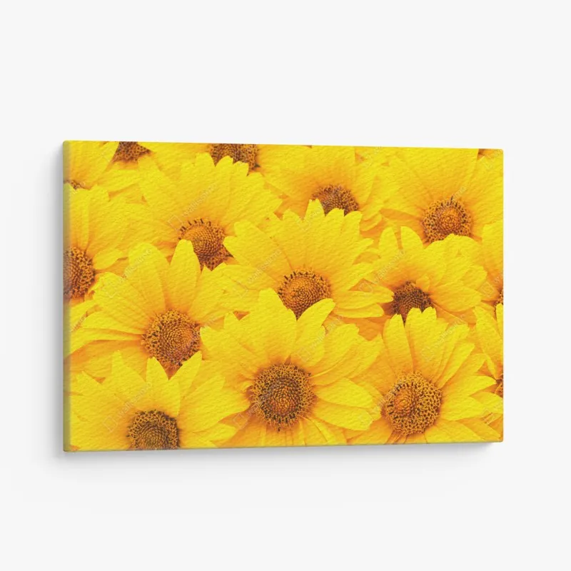 Obraz na płótnie intensywne żółte słoneczniki w zbliżeniu