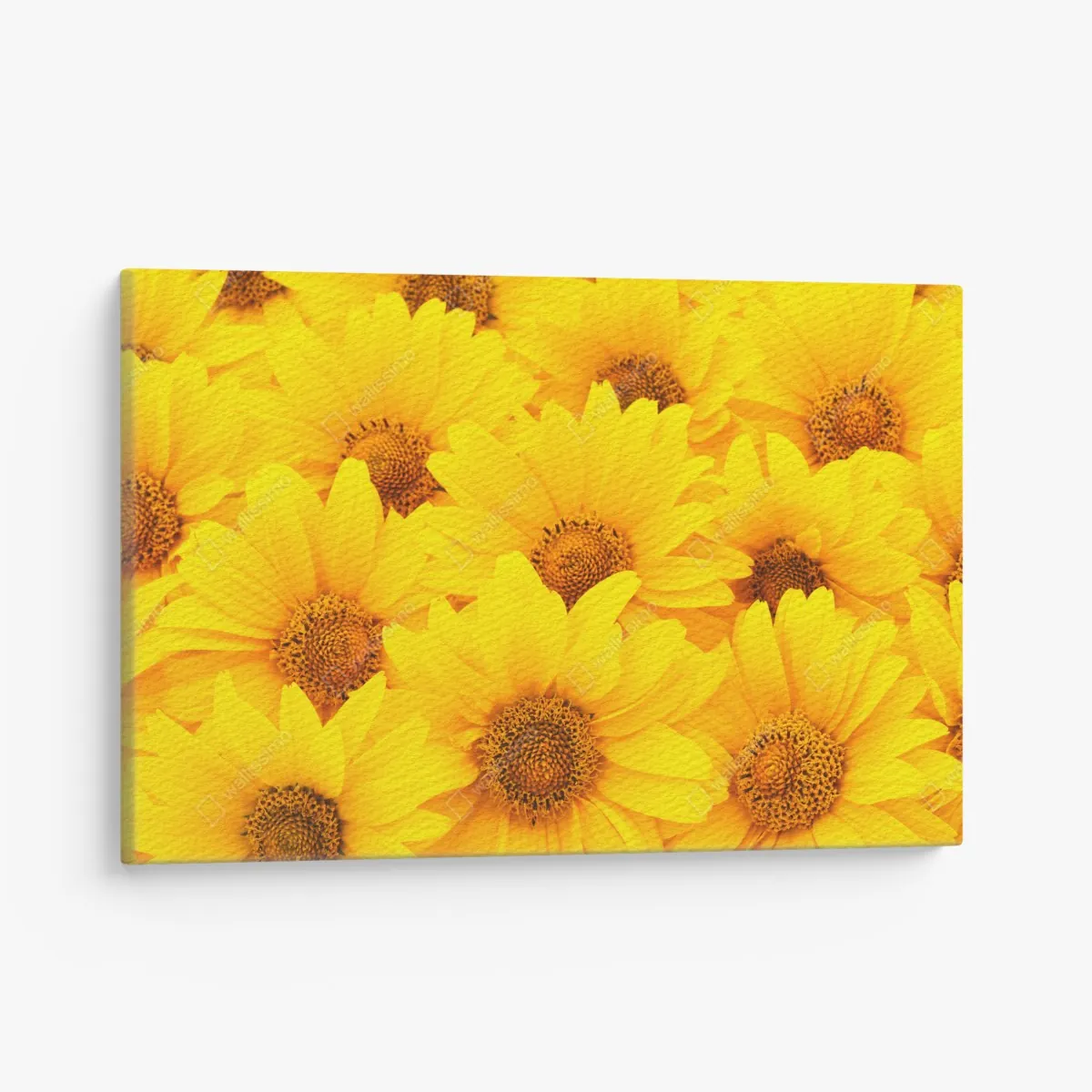 Obraz na płótnie intensywne żółte słoneczniki w zbliżeniu – Wallissimo® Obraz na płótnie intensywne żółte słoneczniki w zbliżeniu – Wallissimo®