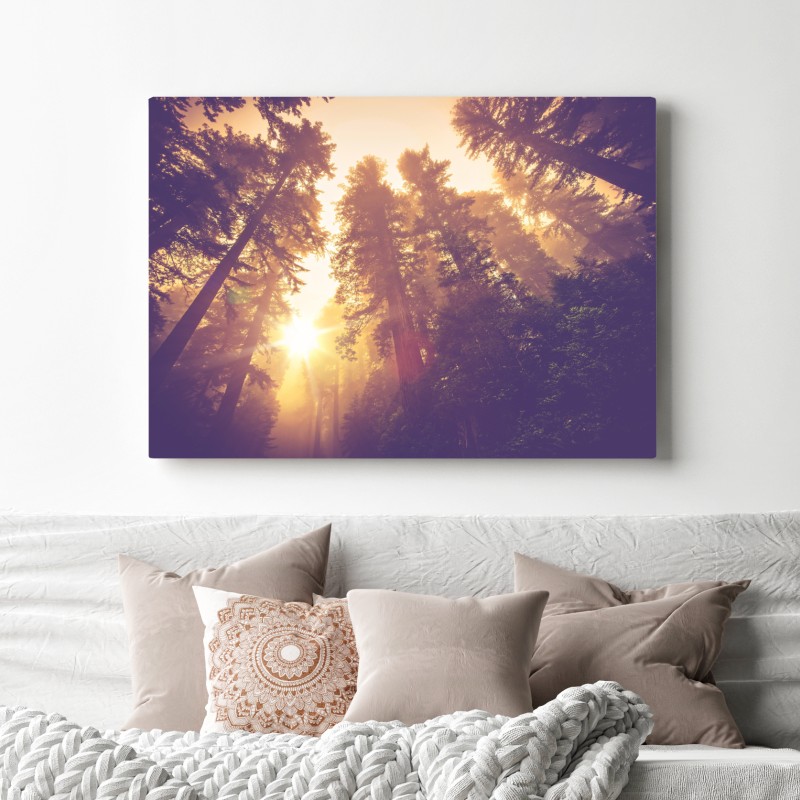 Obraz na płótnie mglisty las sekwojowy w złotych vintage tonacjach – Wallissimo® Obraz na płótnie mglisty las sekwojowy w złotych vintage tonacjach – Wallissimo®