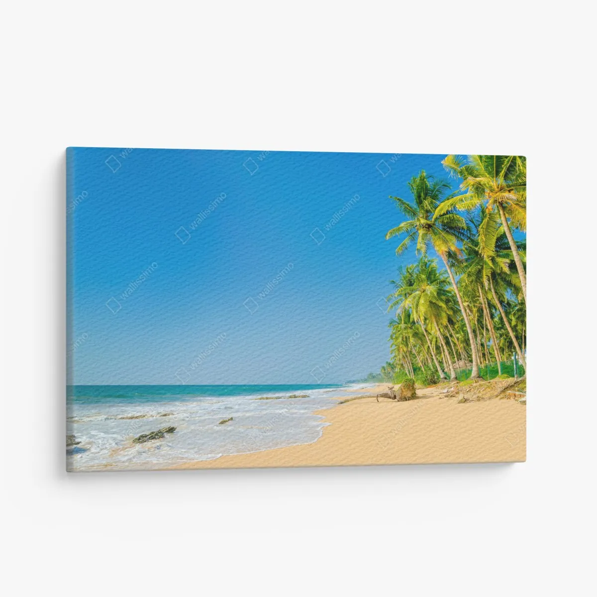 Obraz na płótnie tropikalna plaża z palmami – Wallissimo® Obraz na płótnie tropikalna plaża z palmami – Wallissimo®