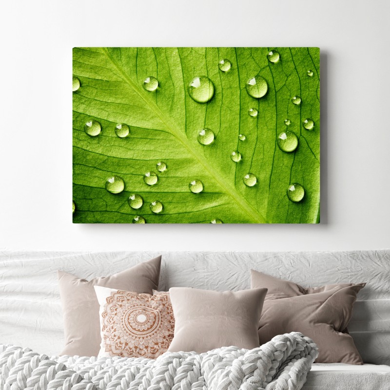 Obraz na płótnie świeży zielony liść z kroplami wody – Wallissimo® Obraz na płótnie świeży zielony liść z kroplami wody – Wallissimo®