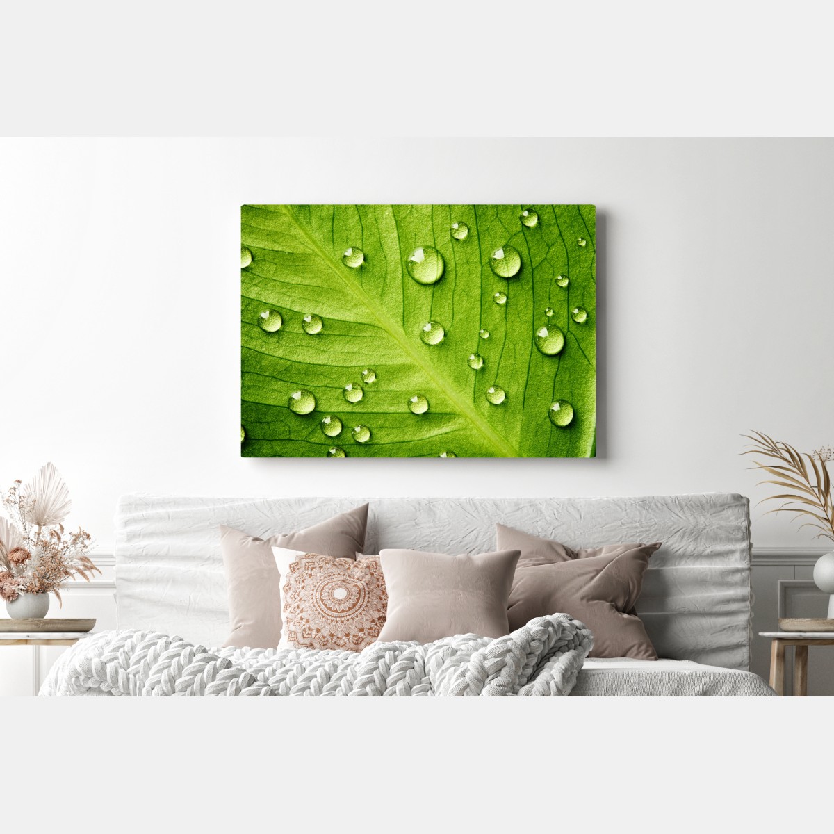 Obraz na płótnie świeży zielony liść z kroplami wody – Wallissimo® Obraz na płótnie świeży zielony liść z kroplami wody – Wallissimo®