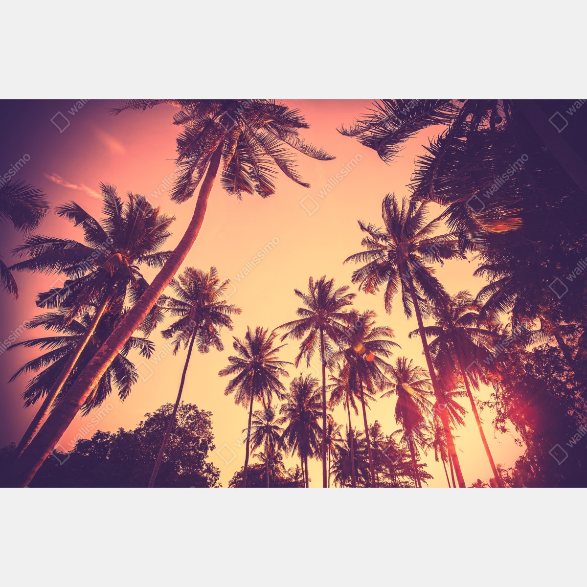 Obraz na płótnie vintage tropikalny zachód słońca z palmami – Wallissimo® Obraz na płótnie vintage tropikalny zachód słońca z palmami – Wallissimo®
