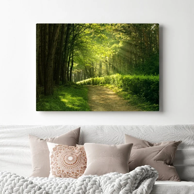 Obraz na płótnie słoneczna leśna ścieżka w zieleni – Wallissimo® Obraz na płótnie słoneczna leśna ścieżka w zieleni – Wallissimo®