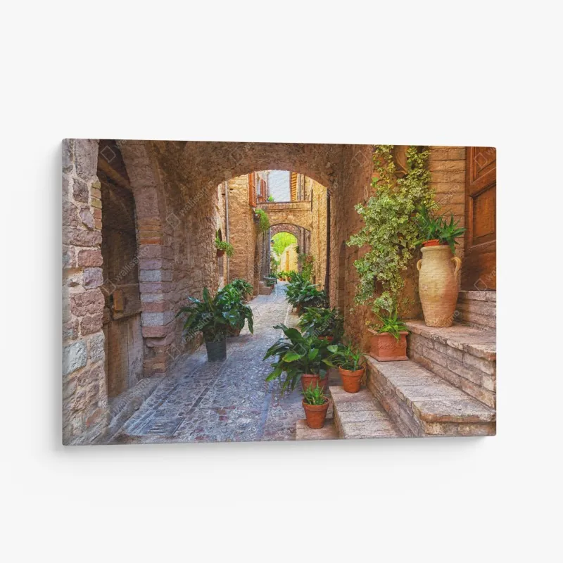 Obraz na płótnie słoneczna uliczka z doniczkami w Spello