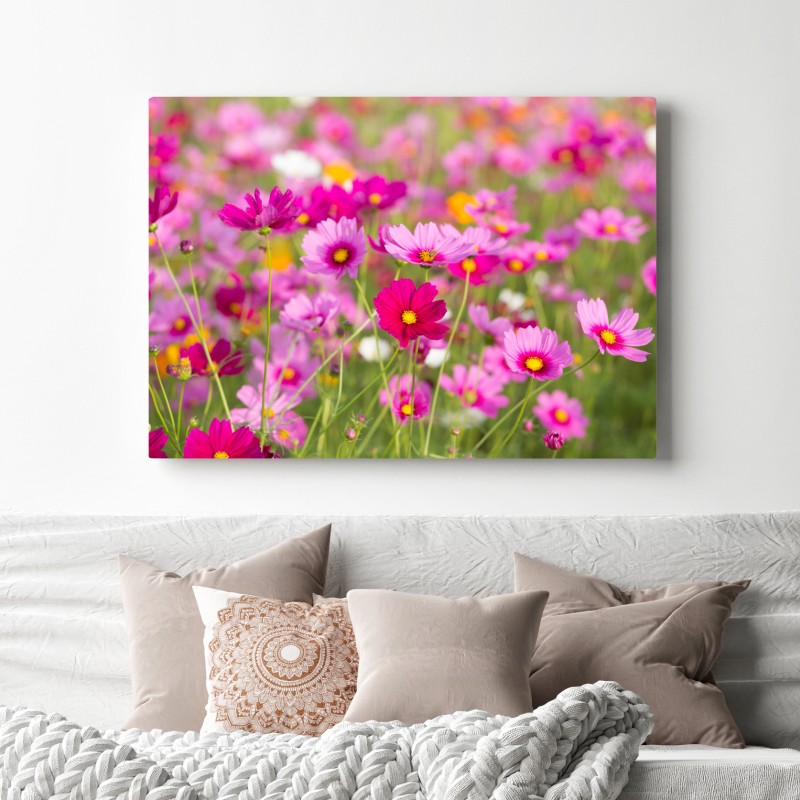 Obraz na płótnie różowa łąka kosmosów w rozkwicie – Wallissimo® Obraz na płótnie różowa łąka kosmosów w rozkwicie – Wallissimo®