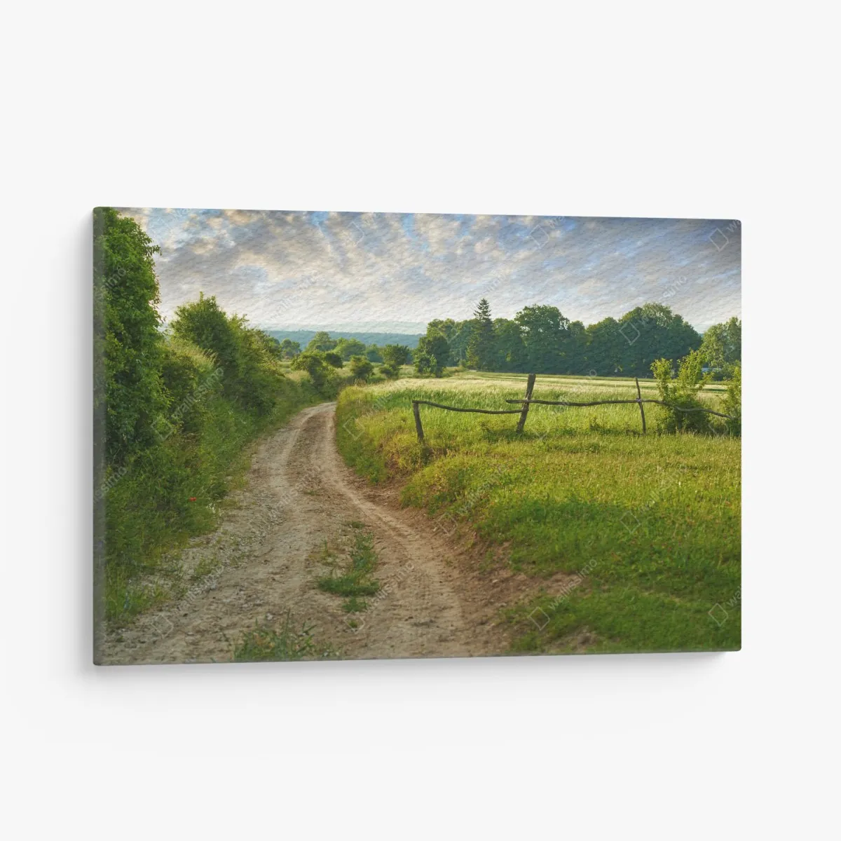 Obraz na płótnie słoneczna wiejska ścieżka przez zielone łąki – Wallissimo® Obraz na płótnie słoneczna wiejska ścieżka przez zielone łąki – Wallissimo®