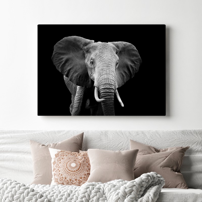Obraz na płótnie majestatyczny portret słonia czarno-biały