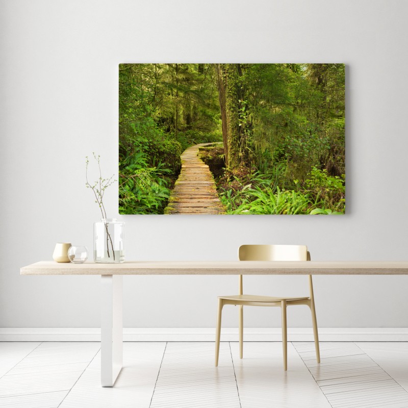 Obraz na płótnie pomost w lesie deszczowym Pacific Rim – Wallissimo® Obraz na płótnie pomost w lesie deszczowym Pacific Rim – Wallissimo®
