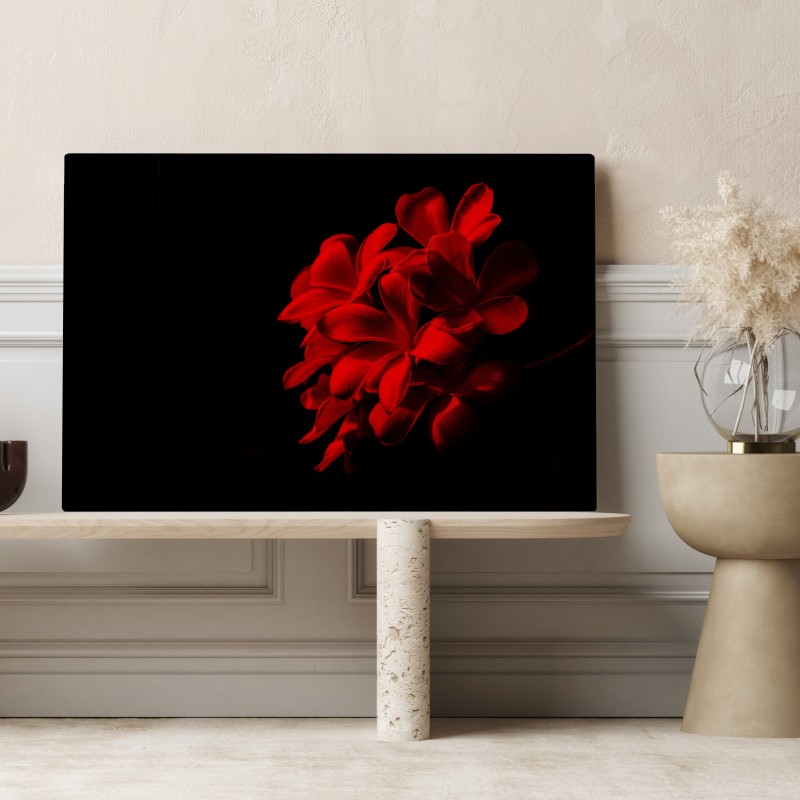 Obraz na płótnie czerwona plumeria na czarnym tle – Wallissimo® Obraz na płótnie czerwona plumeria na czarnym tle – Wallissimo®