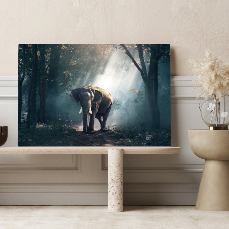 Obraz na płótnie majestatyczny słoń w oświetlonym lesie – Wallissimo® Obraz na płótnie majestatyczny słoń w oświetlonym lesie – Wallissimo®