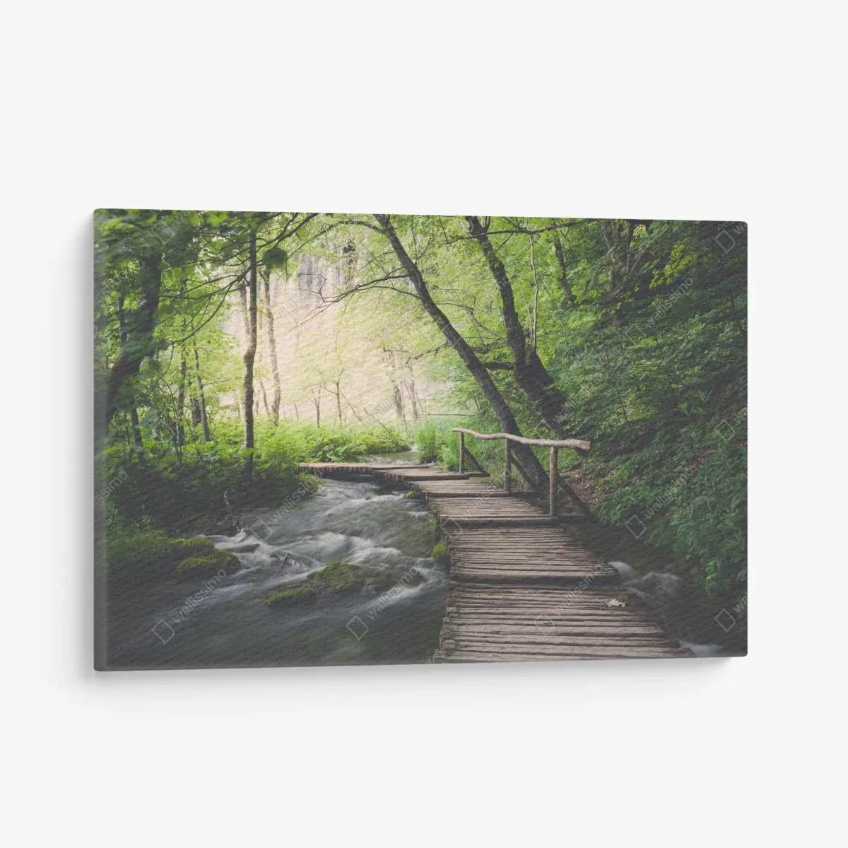 Obraz na płótnie spokojna drewniana kładka w zielonym lesie – Wallissimo® Obraz na płótnie spokojna drewniana kładka w zielonym lesie – Wallissimo®
