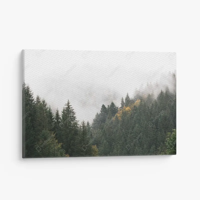 Obraz na płótnie mglisty górski las