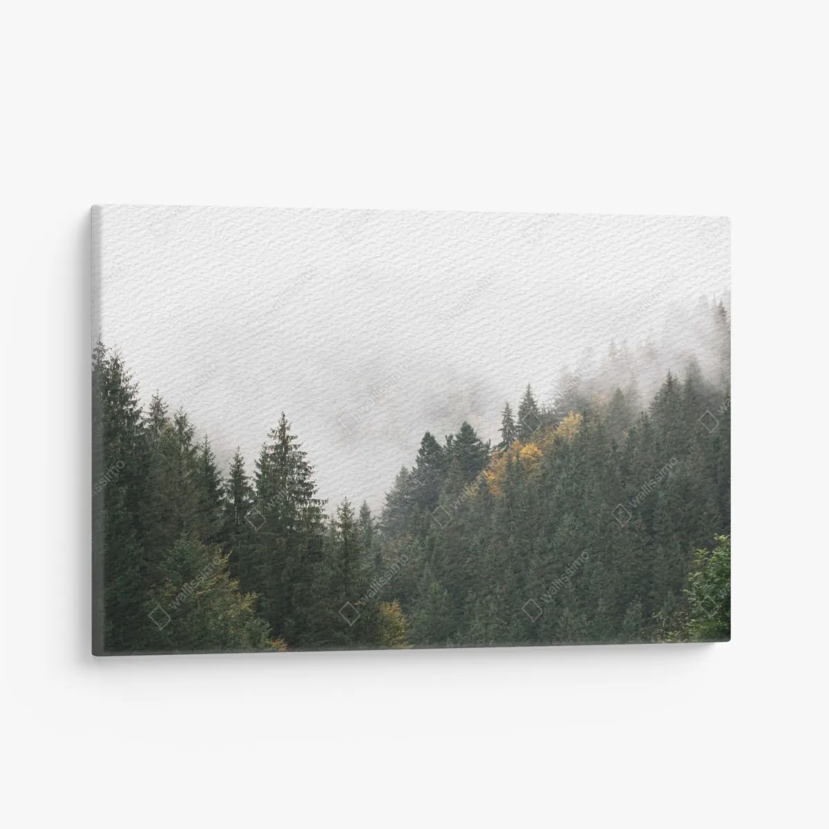 Obraz na płótnie mglisty górski las – Wallissimo® Obraz na płótnie mglisty górski las – Wallissimo®
