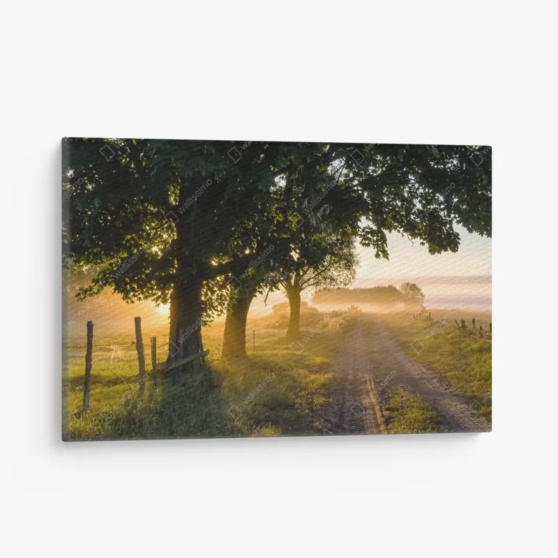 Obraz na płótnie majestatyczny tygrys w leśnym strumieniu – Wallissimo®