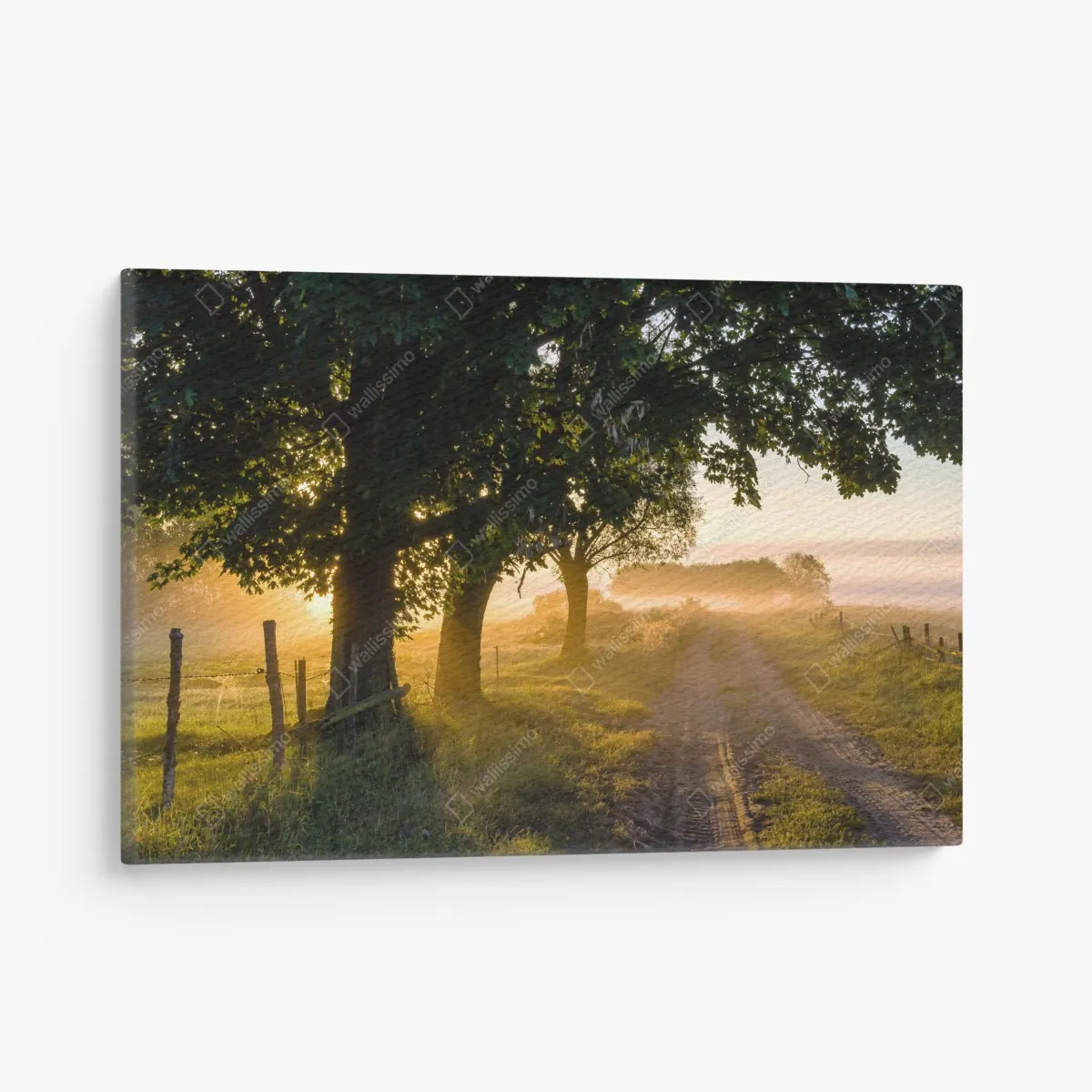 Obraz na płótnie słoneczna wiejska droga o świcie – Wallissimo® Obraz na płótnie słoneczna wiejska droga o świcie – Wallissimo®