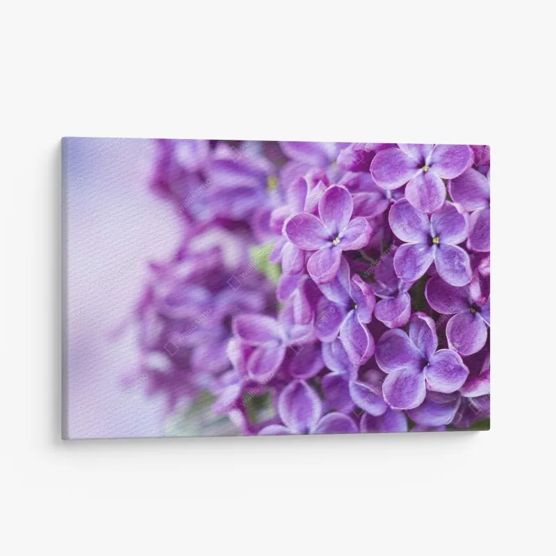 Obraz na płótnie błękitne jaskinie na Zakynthos – Wallissimo®