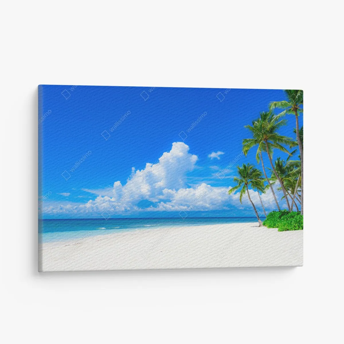 Obraz na płótnie tropikalna plaża z palmami pod błękitnym niebem – Wallissimo® Obraz na płótnie tropikalna plaża z palmami pod błękitnym niebem – Wallissimo®