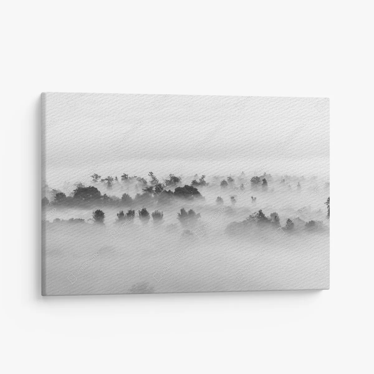 Obraz na płótnie mglisty las czarno-biały – Wallissimo® Obraz na płótnie mglisty las czarno-biały – Wallissimo®