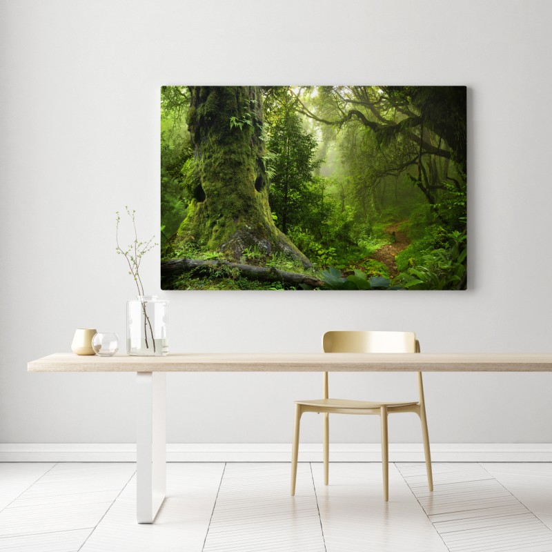 Obraz na płótnie stara leśna ścieżka – Wallissimo® Obraz na płótnie stara leśna ścieżka – Wallissimo®