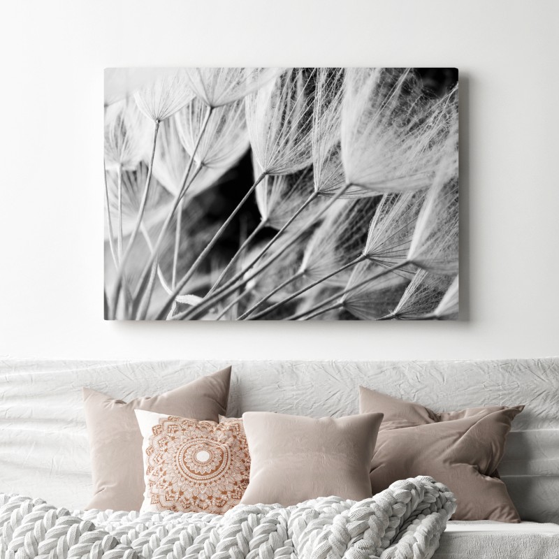 Obraz na płótnie delikatne zbliżenie nasion dmuchawca czarno-białe – Wallissimo® Obraz na płótnie delikatne zbliżenie nasion dmuchawca czarno-białe – Wallissimo®