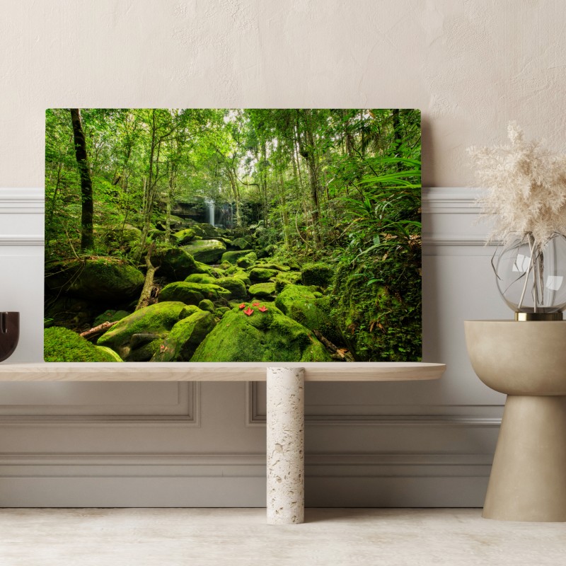 Obraz na płótnie bujny mech i wodospad w tropikalnym lesie – Wallissimo® Obraz na płótnie bujny mech i wodospad w tropikalnym lesie – Wallissimo®