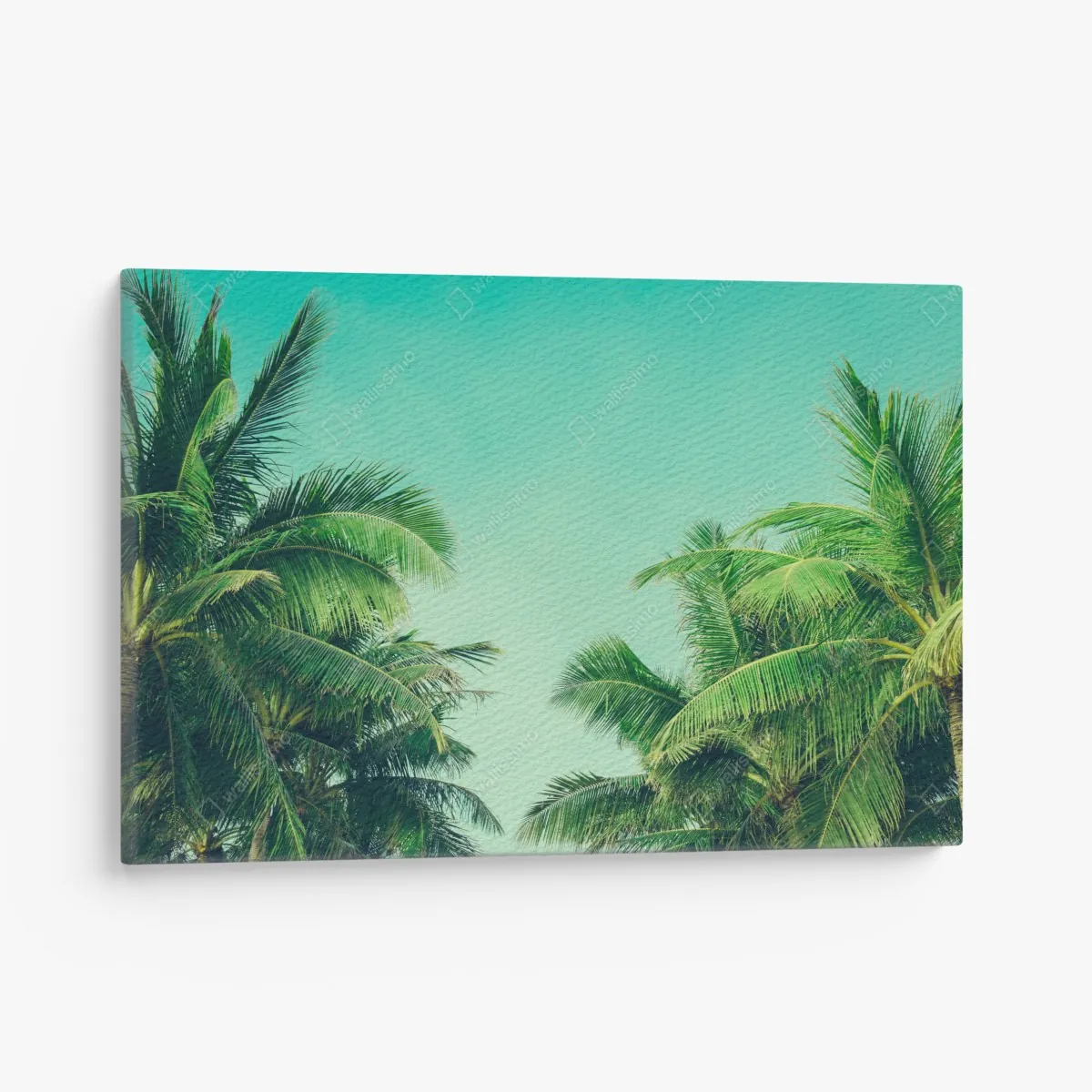 Obraz na płótnie tropikalny baldachim palm pod turkusowym niebem – Wallissimo® Obraz na płótnie tropikalny baldachim palm pod turkusowym niebem – Wallissimo®