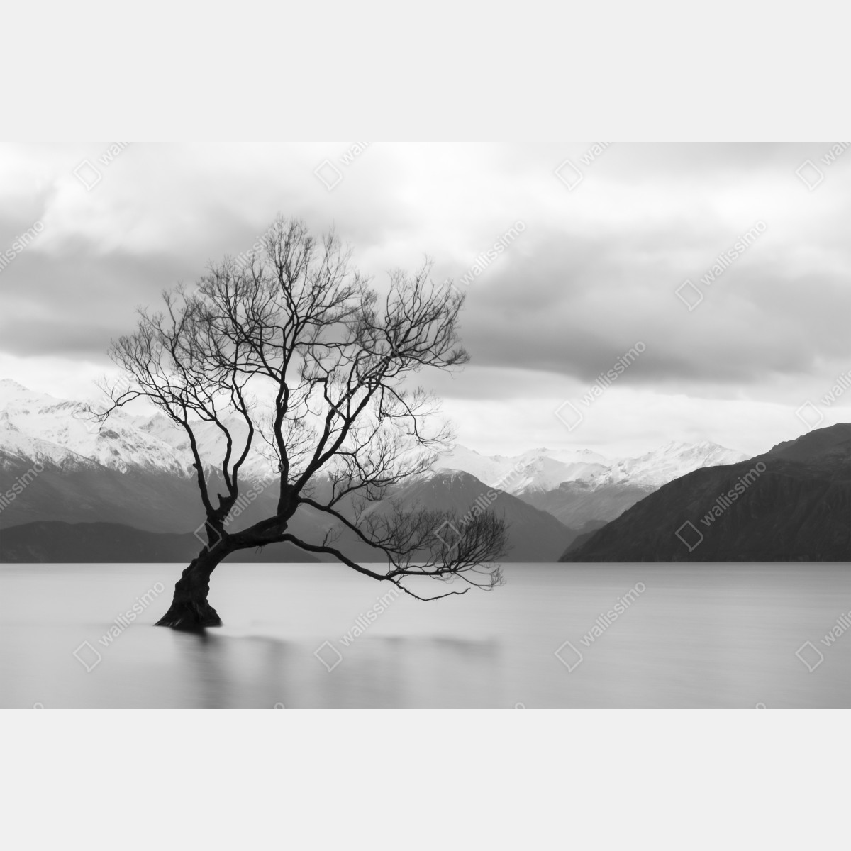Obraz na płótnie samotne drzewo na jeziorze – Wallissimo® Obraz na płótnie samotne drzewo na jeziorze – Wallissimo®