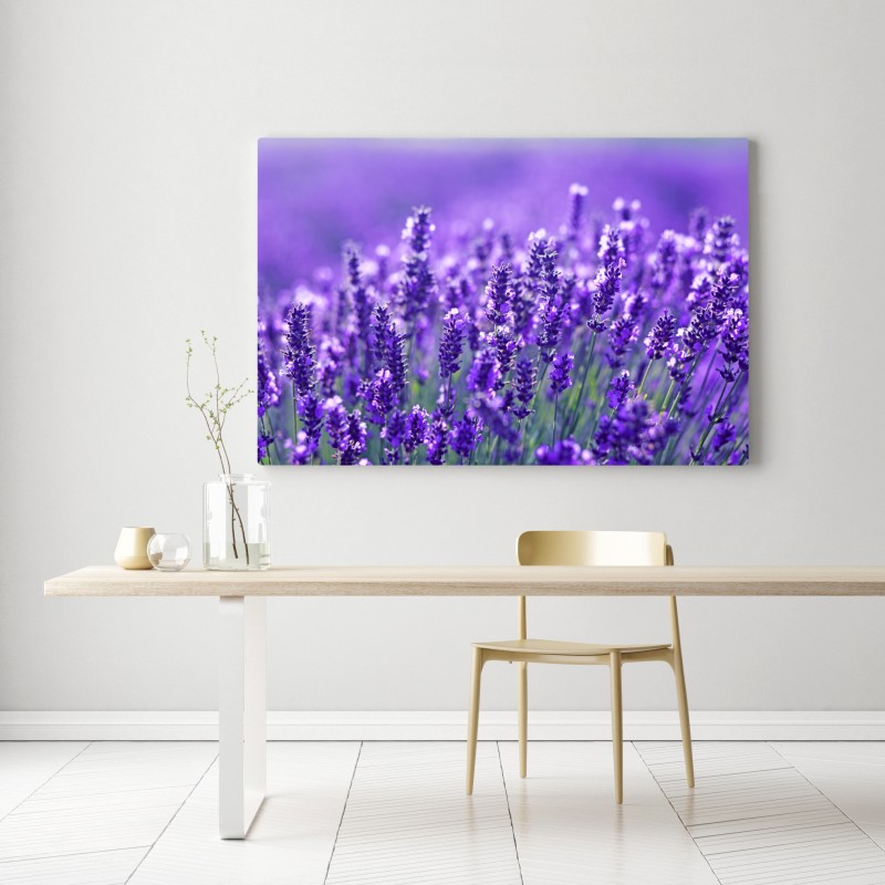 Obraz na płótnie zbliżenie pola lawendy – Wallissimo® Obraz na płótnie zbliżenie pola lawendy – Wallissimo®