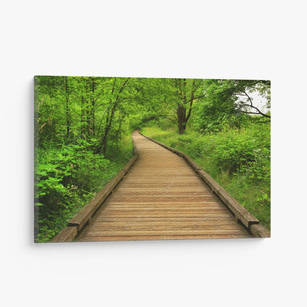 Obraz na płótnie spokojny drewniany pomost w lesie – Wallissimo® Obraz na płótnie spokojny drewniany pomost w lesie – Wallissimo®