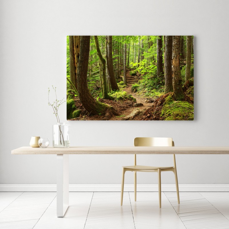 Obraz na płótnie mchowa leśna ścieżka – Wallissimo® Obraz na płótnie mchowa leśna ścieżka – Wallissimo®