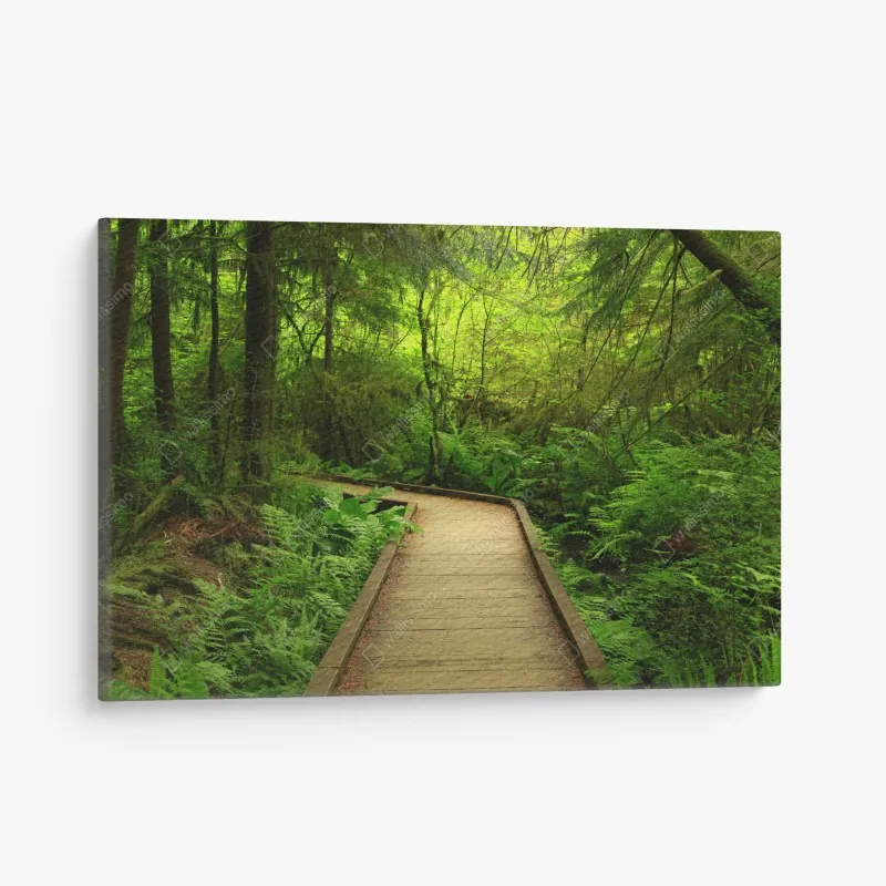 Obraz na płótnie spokojna ścieżka w bambusowym lesie – Wallissimo®