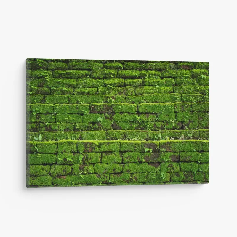 Obraz na płótnie ściana z mchem na ceglanej strukturze