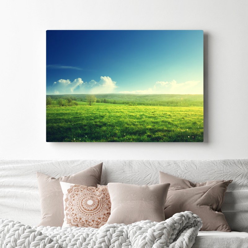 Obraz na płótnie słoneczna wiosenna łąka o zachodzie słońca – Wallissimo® Obraz na płótnie słoneczna wiosenna łąka o zachodzie słońca – Wallissimo®