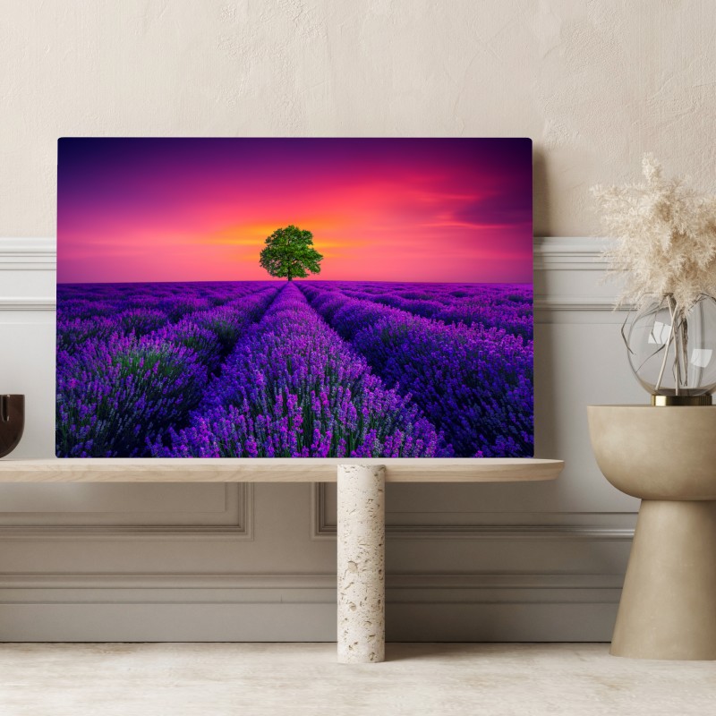 Obraz na płótnie pole lawendy o zachodzie słońca z samotnym drzewem – Wallissimo® Obraz na płótnie pole lawendy o zachodzie słońca z samotnym drzewem – Wallissimo®